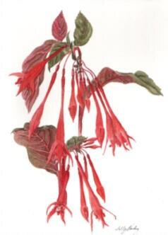 Thalia Greetings Card