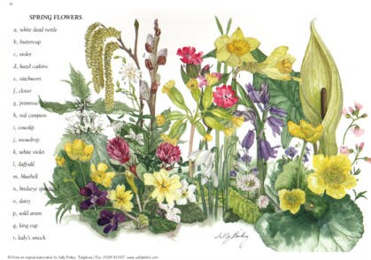 Spring Flowers Greetings Card