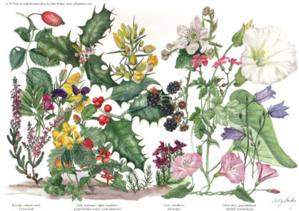 Late Season Greetings Card