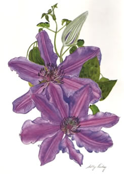 Dr Ruppel Greetings Card