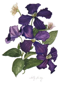 Warsaw Nike Greetings Card