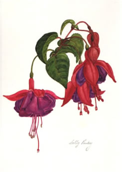 Phenomenal Greetings Card