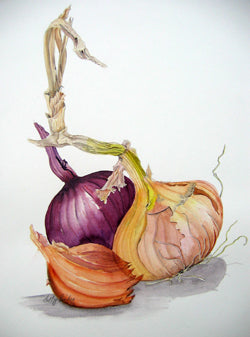 Onion Greetings Card