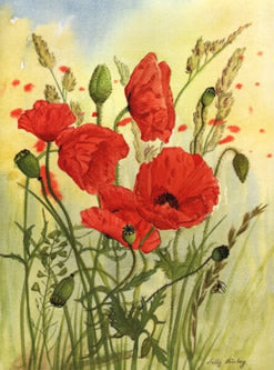 Poppies Greetings Card