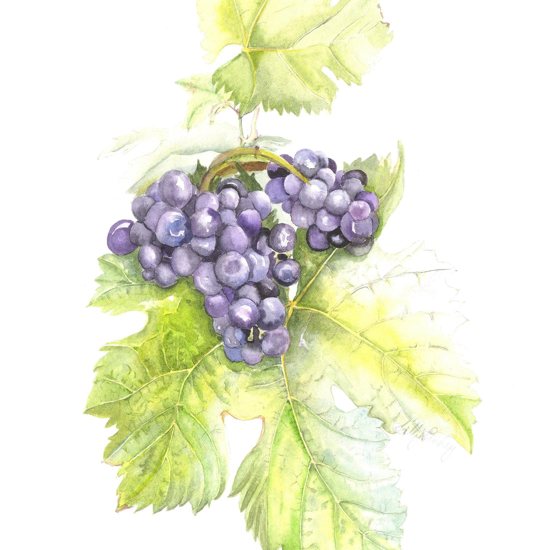 Art at the Vinyard -
