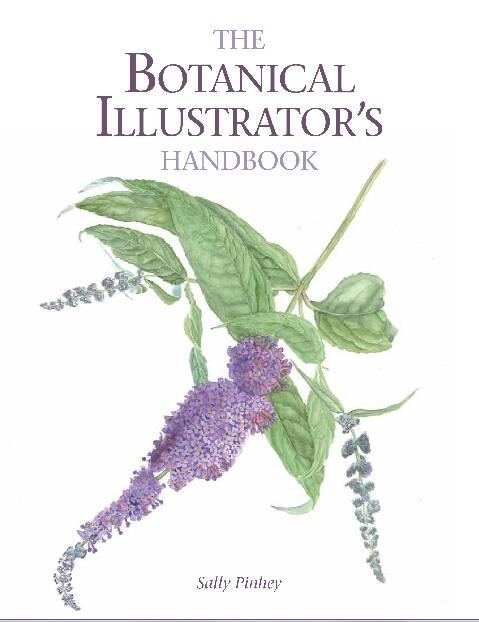 The Botanical Illustrators Handbook by Sally Pinhey